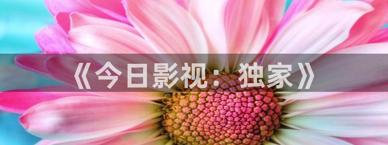 秋霞电影网在线理论