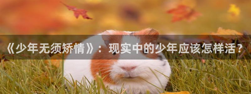 秋霞影院在线观看伦理